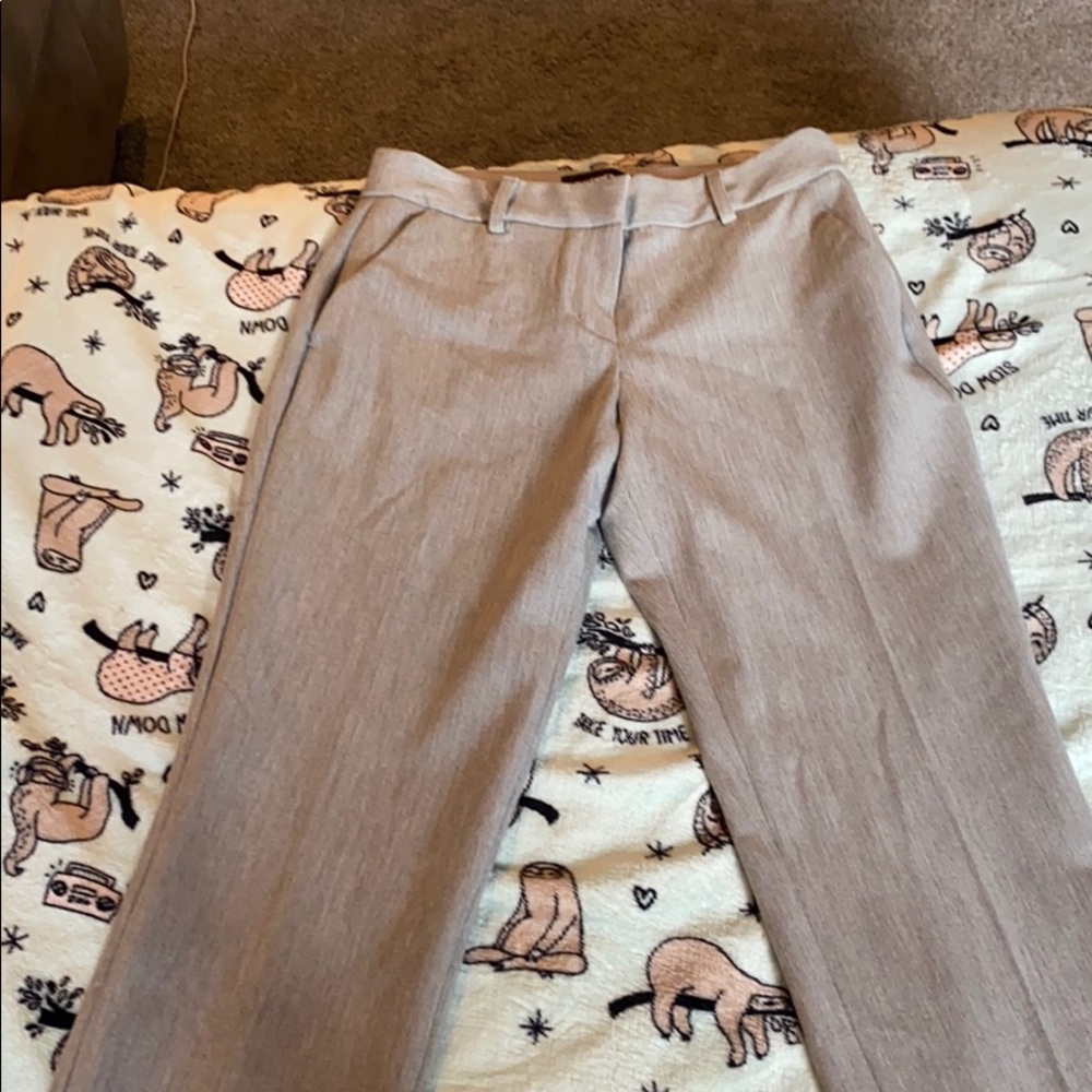Express Petite Ankle Columnist Pants
